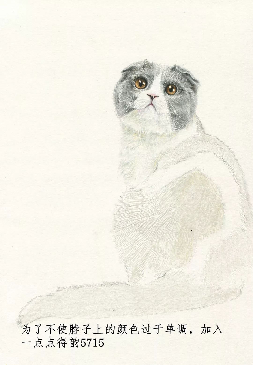 素描动物入门知识,素描动物简单入门教程狗