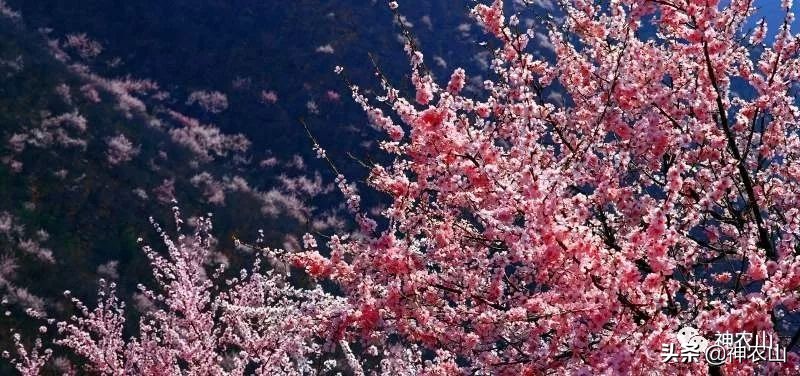 这就是生活第40集刘恺威,这就是街舞3