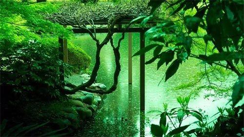 日本灌篮高手取景地打卡,灌篮高手拍照圣地