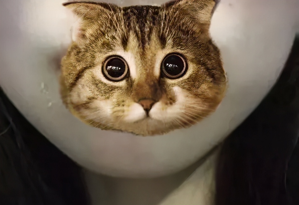 超级省钱的好物推荐,便宜又实用的10件好物