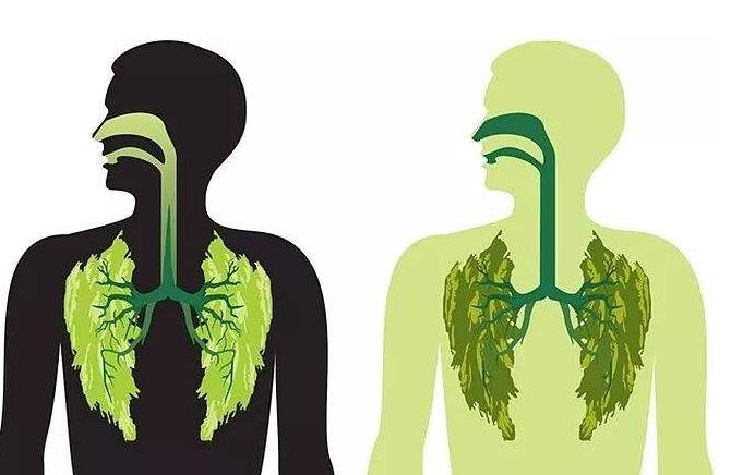 脑中风和中风是一样的吗能治好吗,老人出现中风的前兆该怎么办