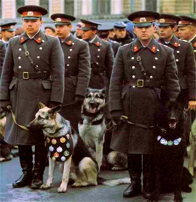 乌克兰加入苏联之前版图,历史乌克兰什么时候并入苏联版图