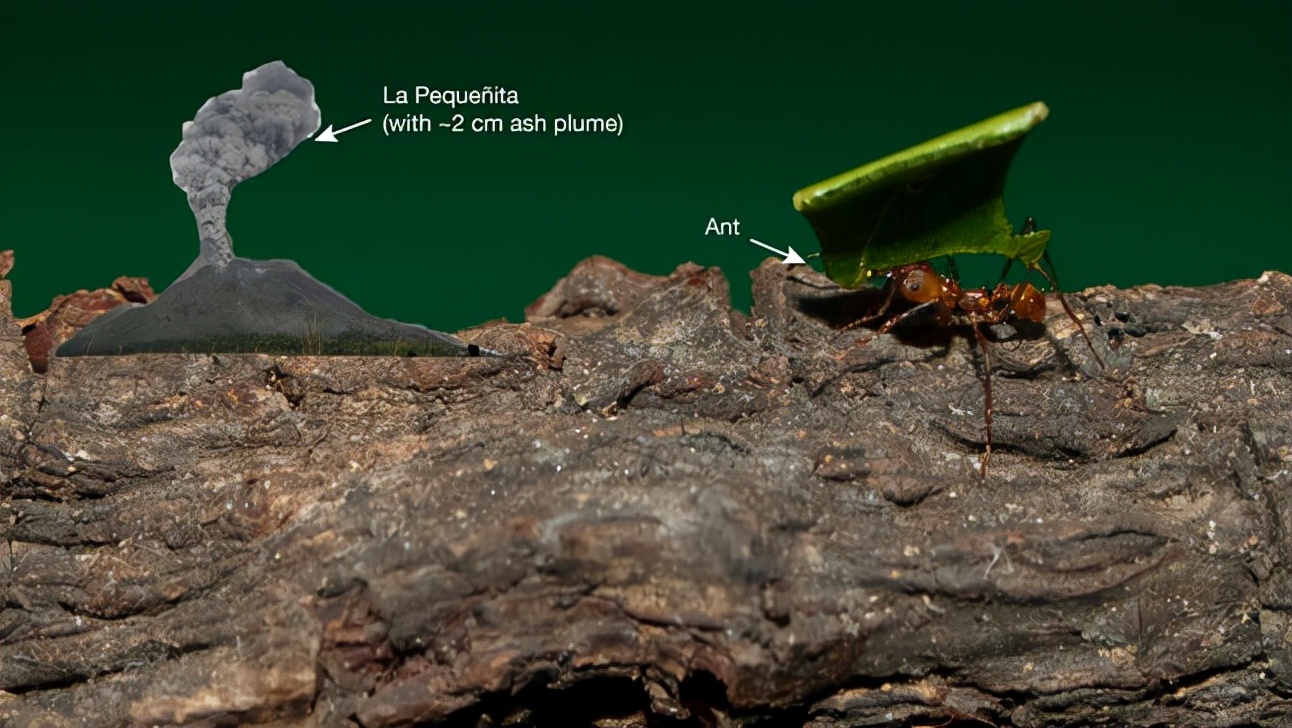 重庆地火村燃烧60年不熄灭,重庆地上冒火的村庄