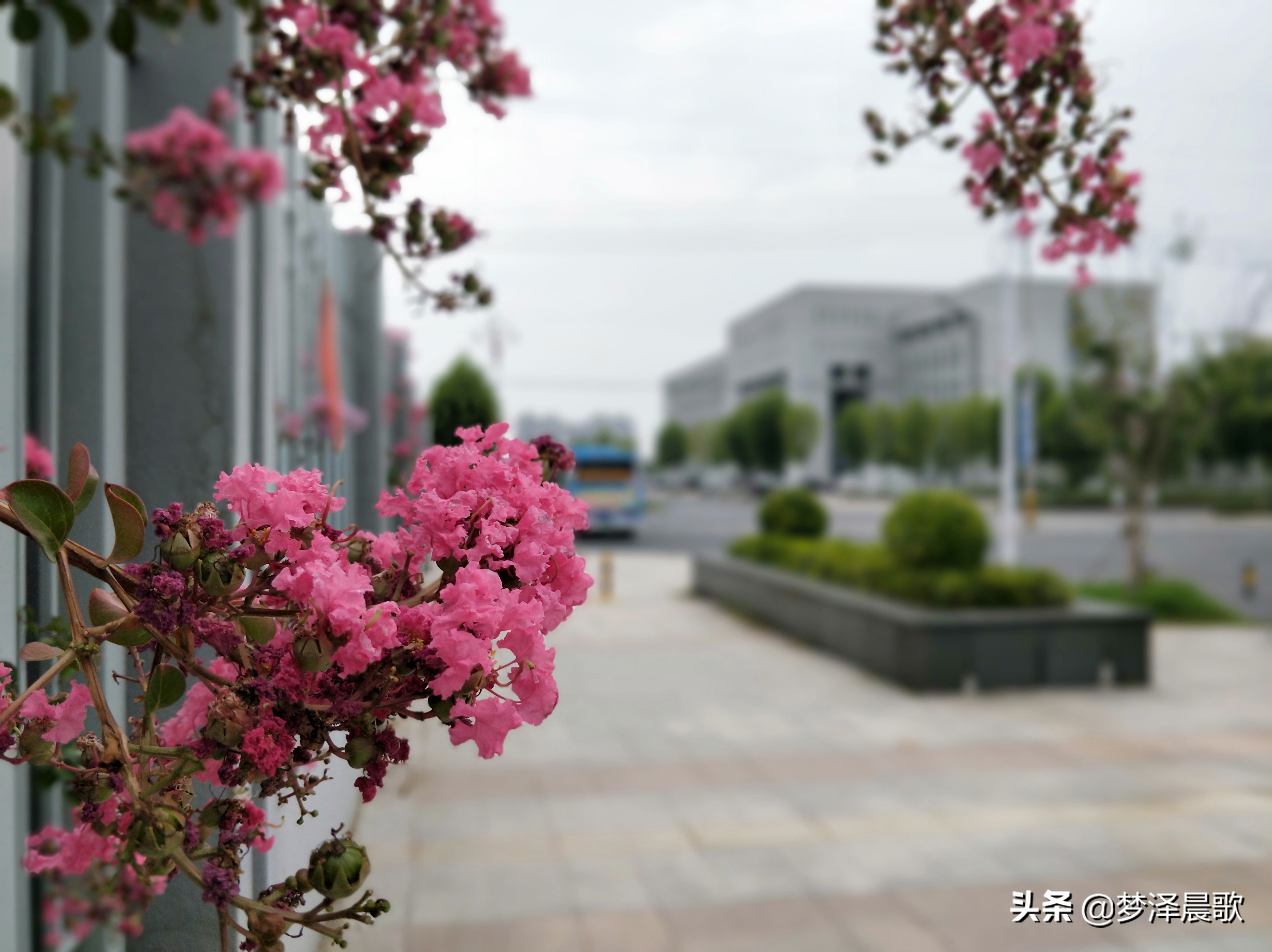 云梦县黄香小学好吗,云梦县黄香小学全貌图