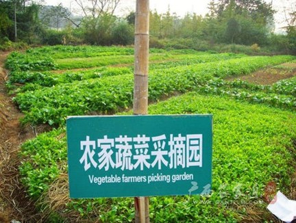 星空露营附近,星空露营地烧烤