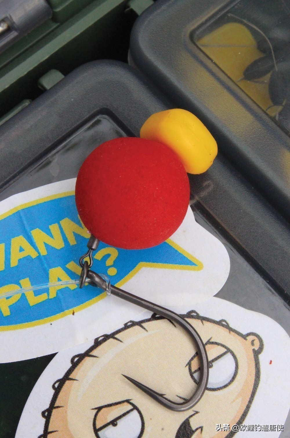 话说欧鲤钓最新消息,话说欧鲤钓鱼完整版