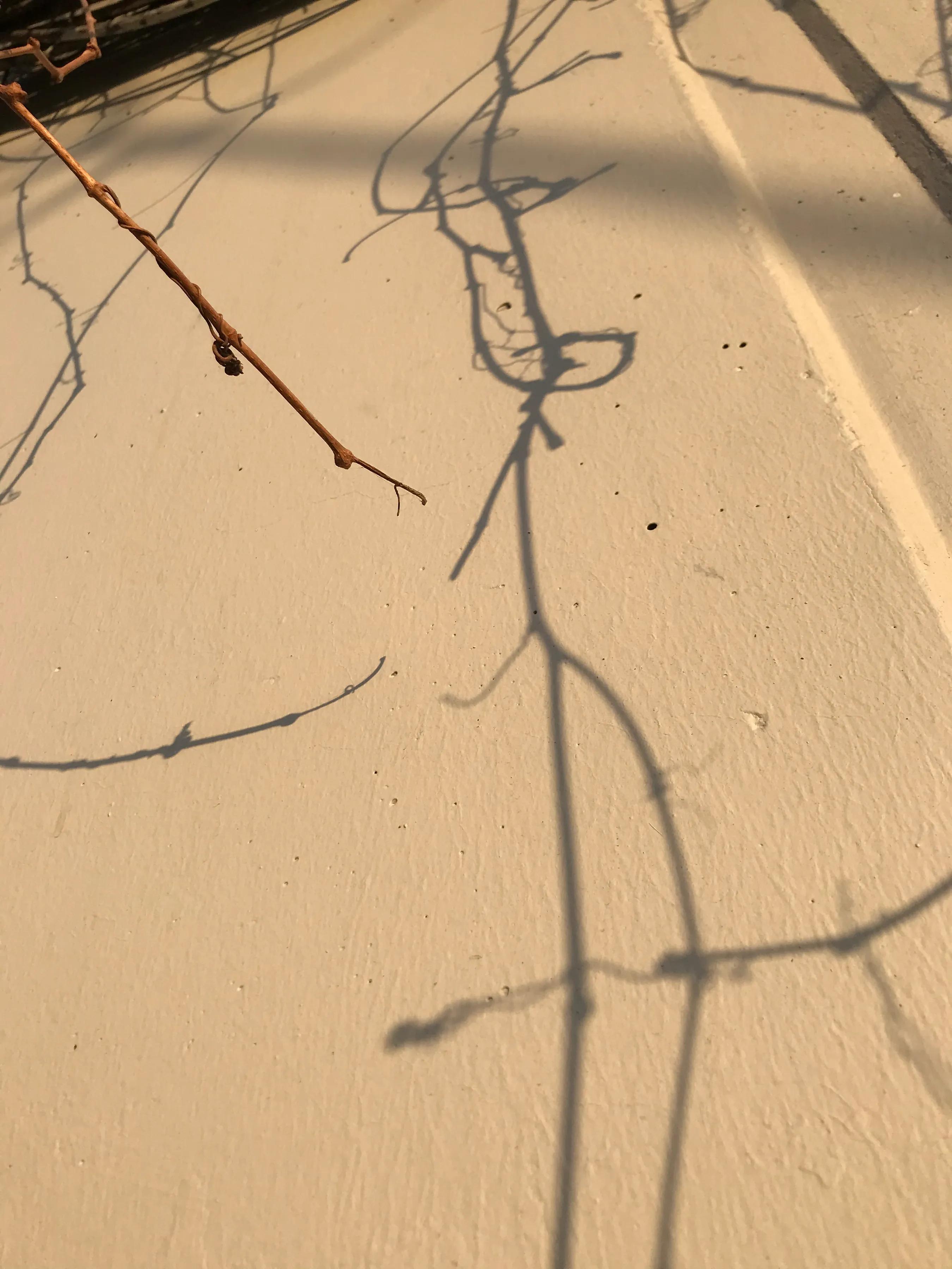 美好的定义,美的定义是什么