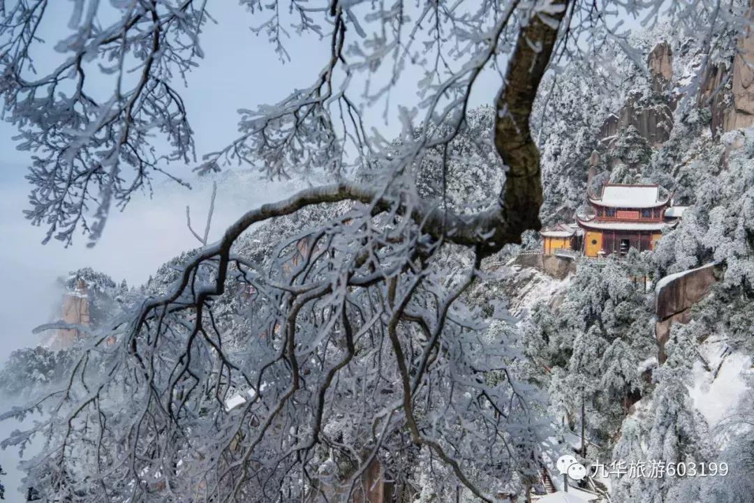 2022年九华山风景区65岁以上免票吗,九华山免票安徽