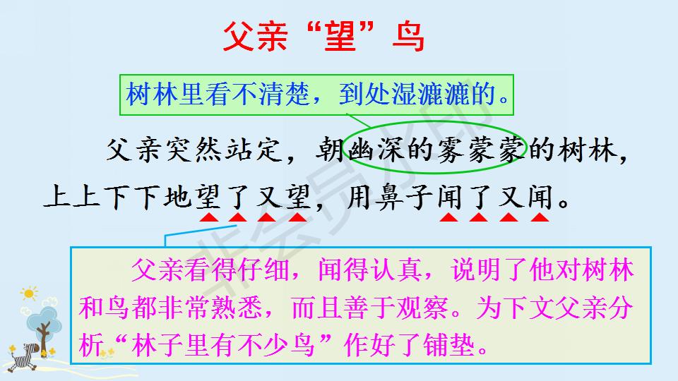 部编版父亲和鸟课件,父亲树林和鸟ppt教材解析