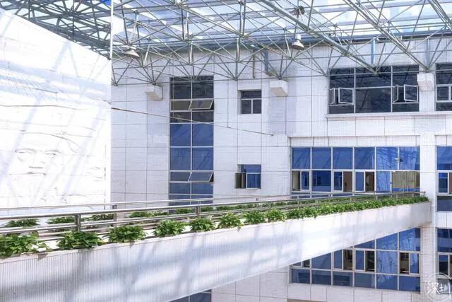 暑假深圳好玩的地方推荐,暑假深圳免费好玩的地方推荐