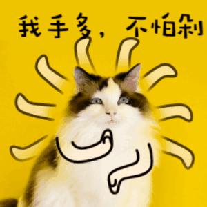 蔻驰和迪士尼联名包,蔻驰迪士尼联名包