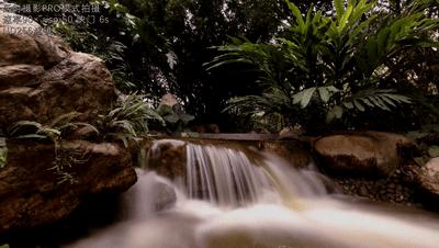 4秒视频慢动作教程,60秒倒计时视频怎么做