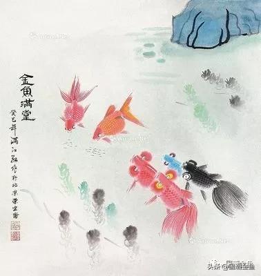 恭祝新春，过年家中养它——中国的“吉祥物”！寓意金玉满堂