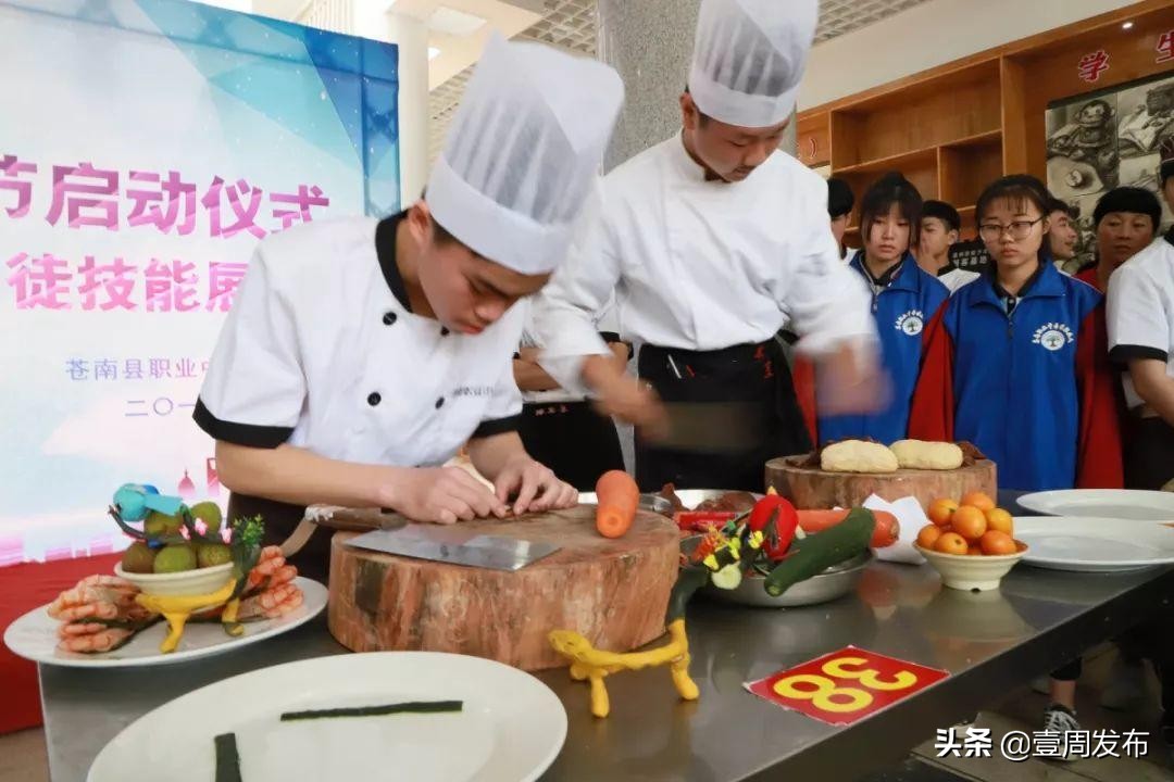 苍南县中等职业学校,苍南县职业中等专业学校开学时间