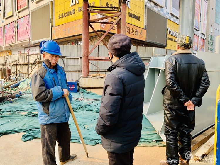 涧西牡丹广场老照片,洛阳牡丹手机拍照