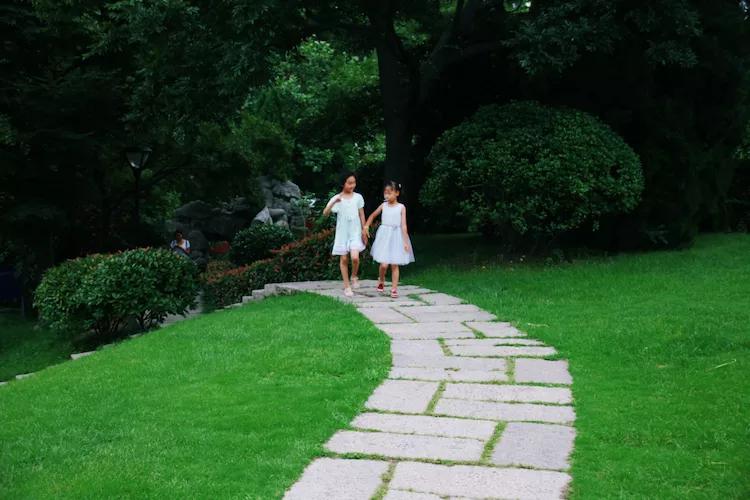 单反快速入门索尼,单反自动挡是哪个