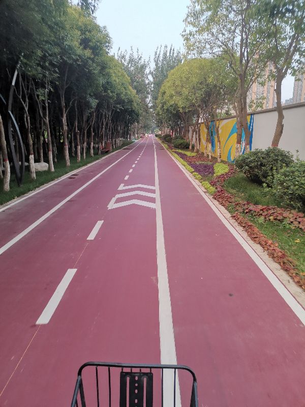 西安自行车专用道起点和终点,西安市首条自行车专用通勤道建设