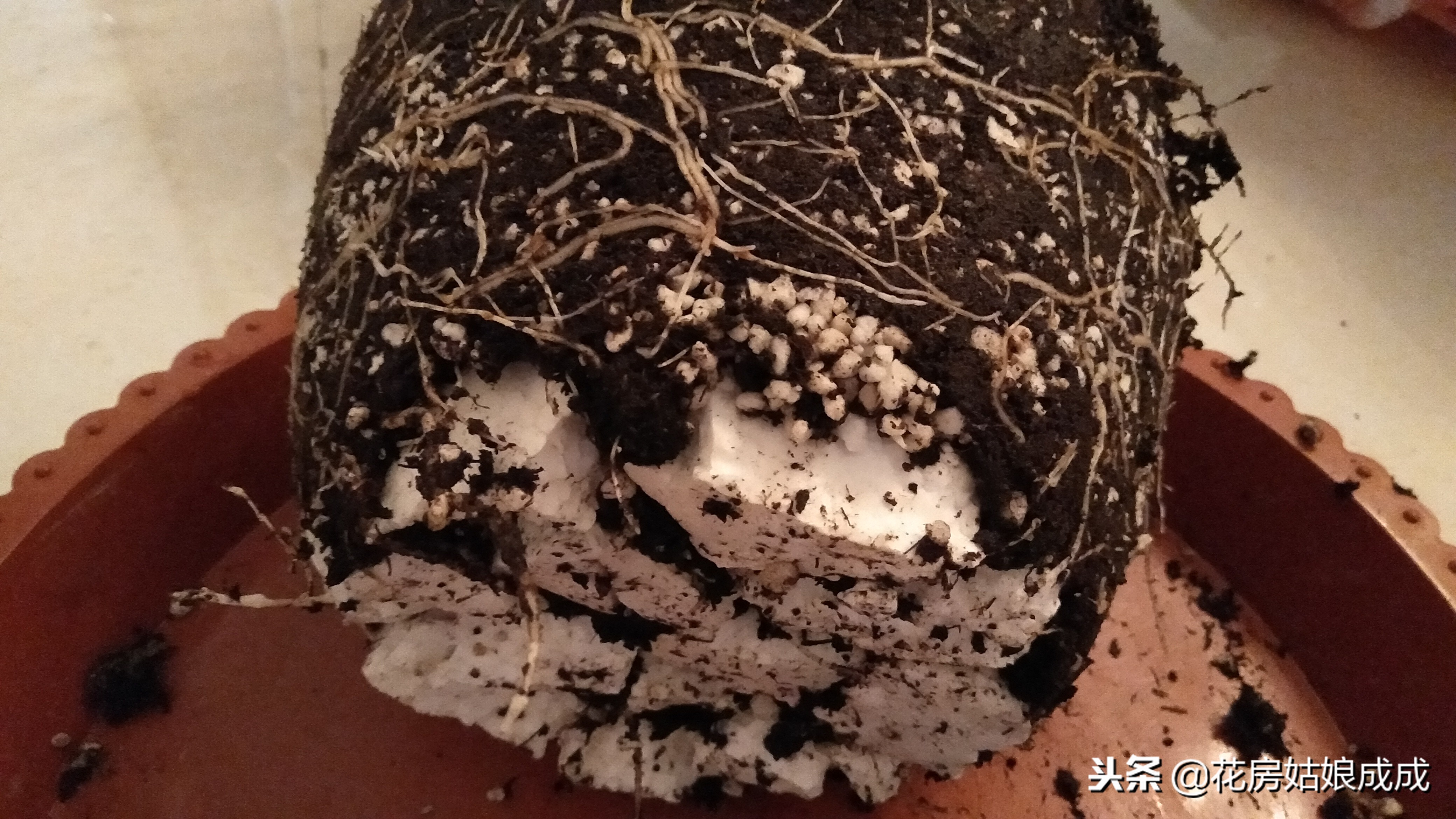 花盆里放泡沫能预防积水吗,花盆太深在底下放泡沫可以吗