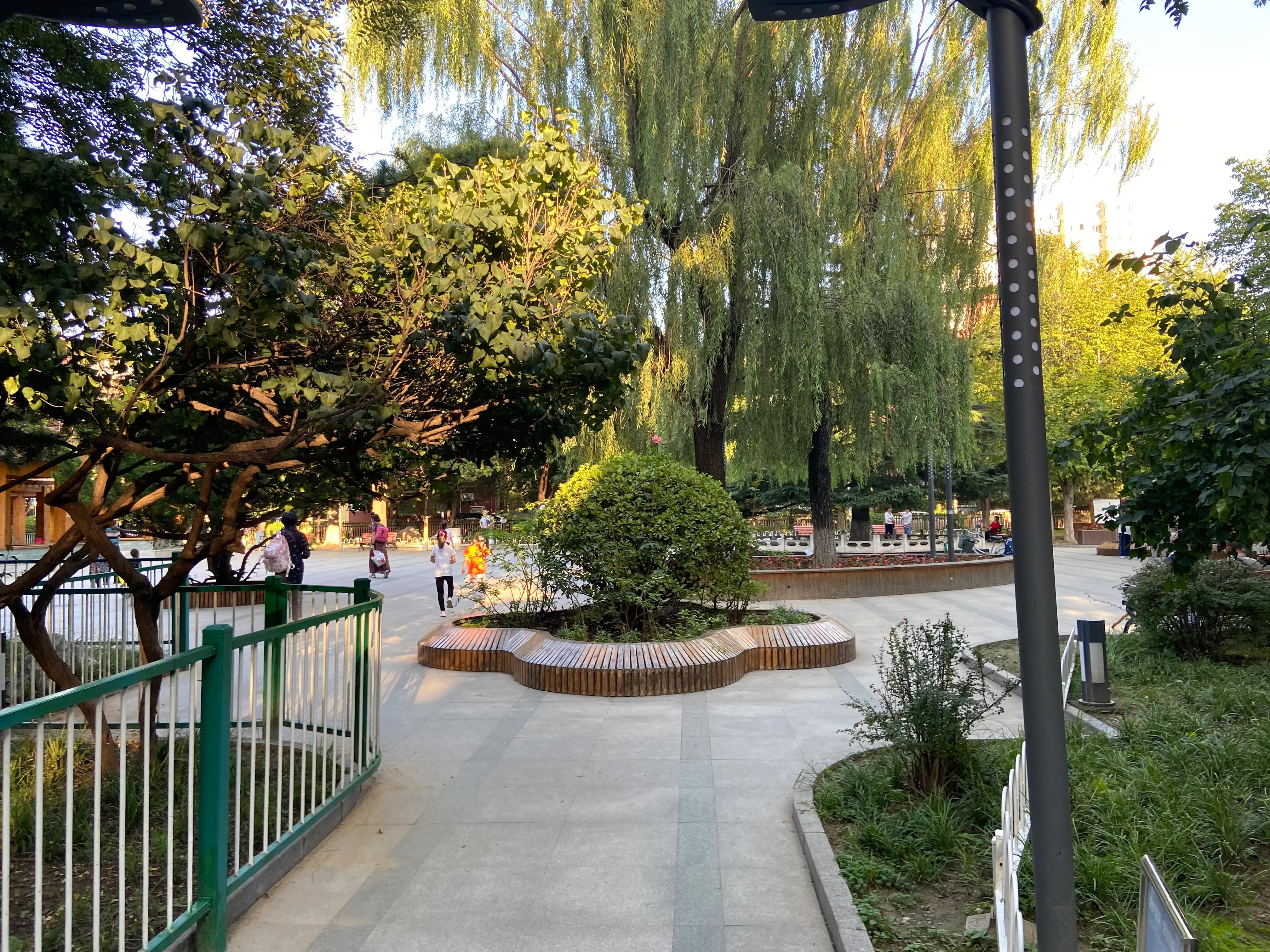 海淀双榆树价格,北京海淀区双榆树