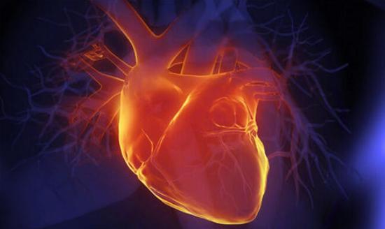 西洋参心脏病能不能喝,心血管疾病适合吃西洋参吗