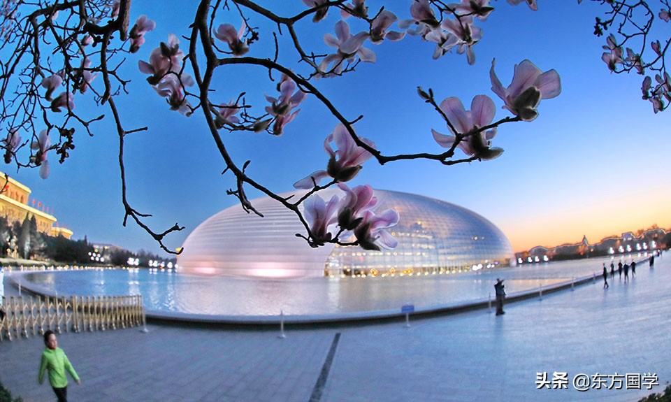 北京四月赏玉兰花的地方,北京赏玉兰的地方