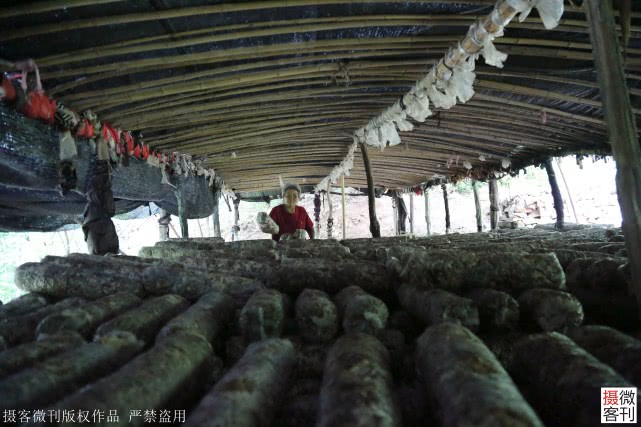 深山老两口5年还18万欠款，大妈每天抱着儿子遗像哭