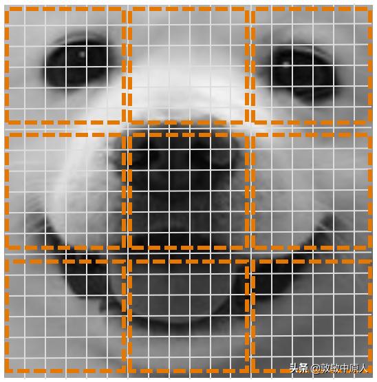 零基础学习ai视频,从零基础掌握AI论文实验分析