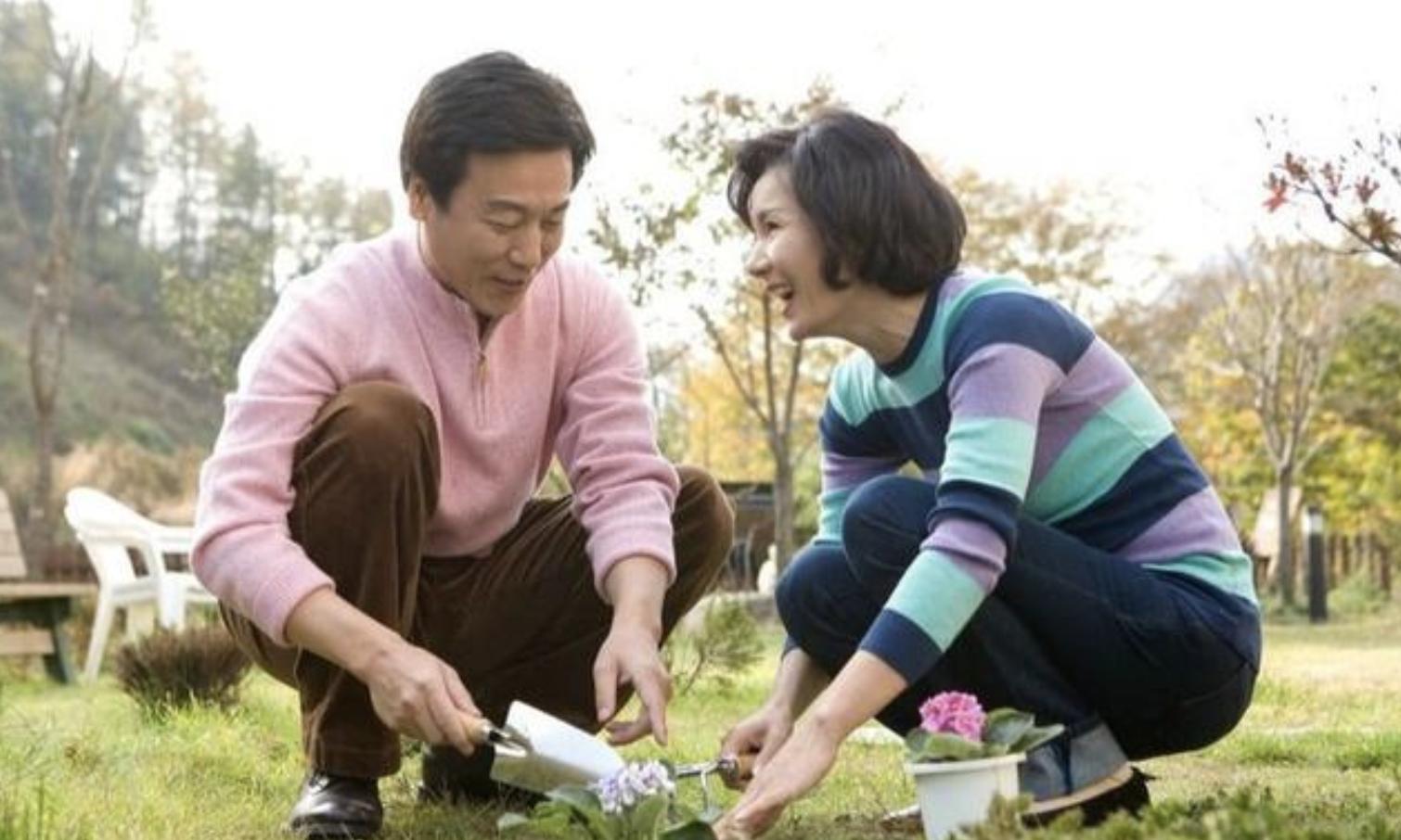 新闻联播主持人谁是丁克一族,如何看待丁克家族的央视主持人