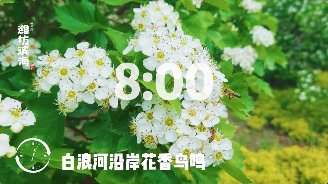 滨海美丽的风景,滨海魅力之城