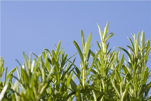 痘痘感染后愈合形成痘坑,痘痘反反复复就是不彻底该怎么办