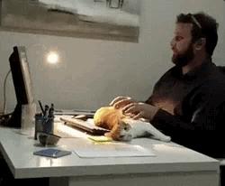 谈到孤独,说到孤独你会想到什么