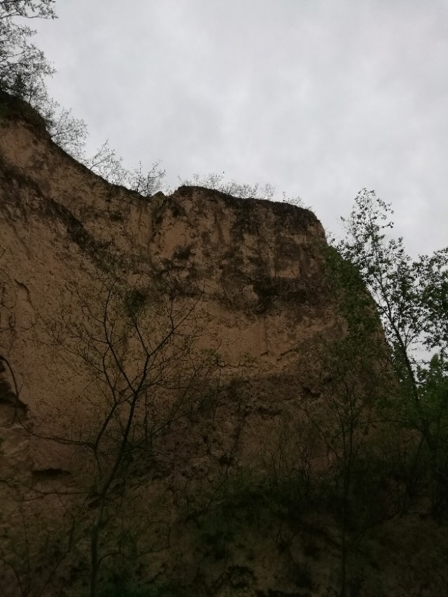 郑州树木园最新视频,郑州树木园现状