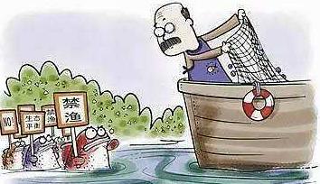 白鲟是白鱀豚吗,白鱀豚和中华白鲟