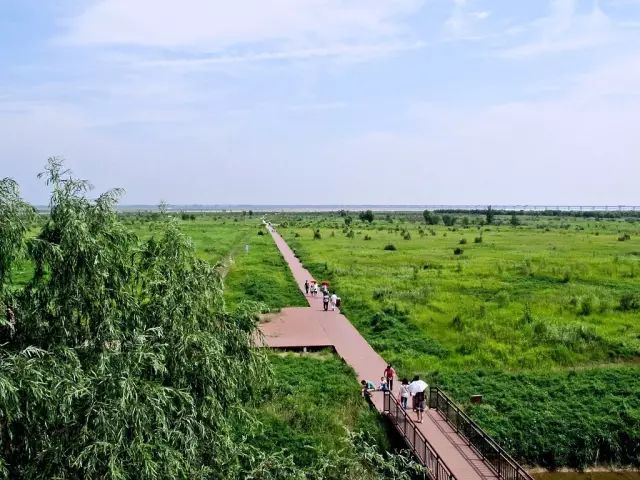 郑州长寿山旅游景点免费开放,郑州只有河南景点免费吗