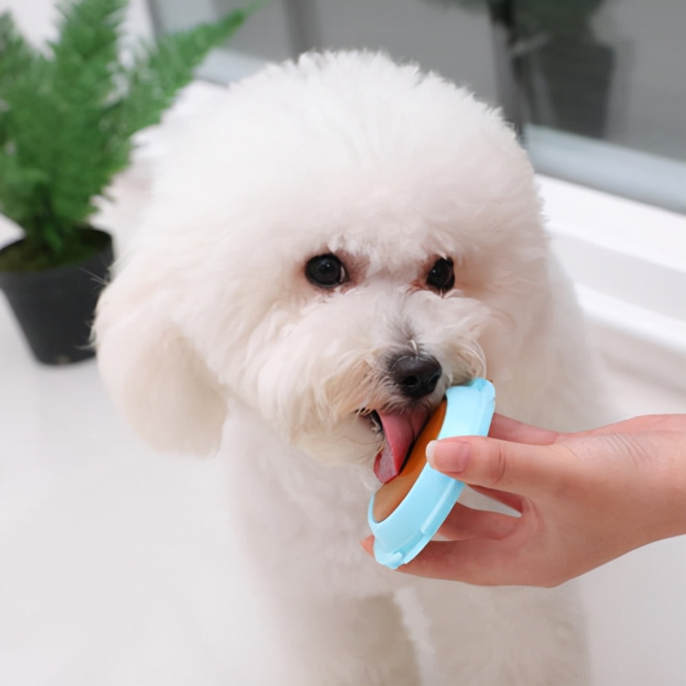 狗狗挑食导致营养不良怎么办,防治狗狗营养不良