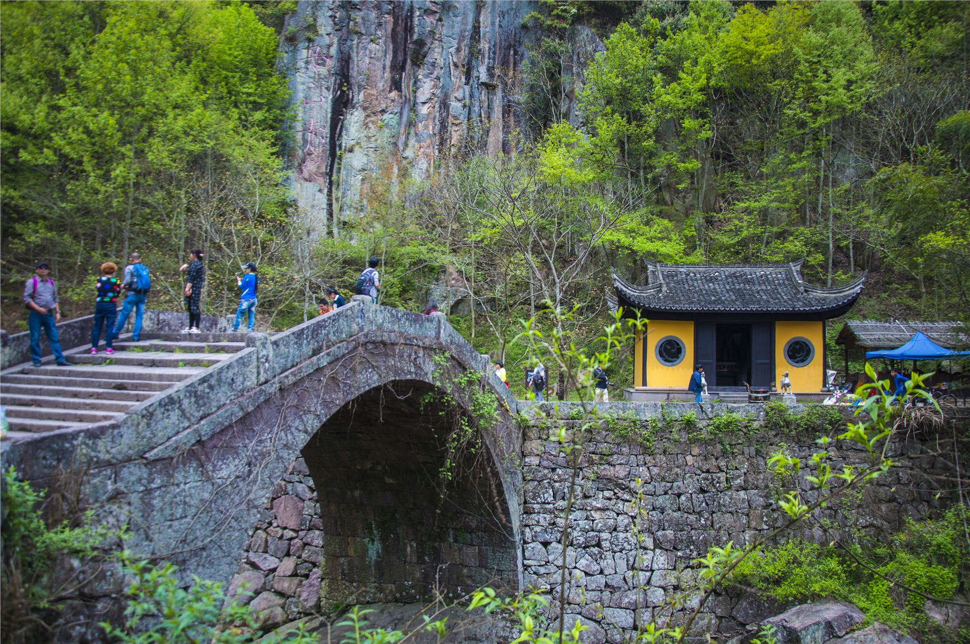 丹山赤水的老柿林景区,丹山赤水柿林古村