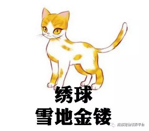 谁说土猫无名猫？快来围观古代猫谱，你家有没有镇宅神兽！