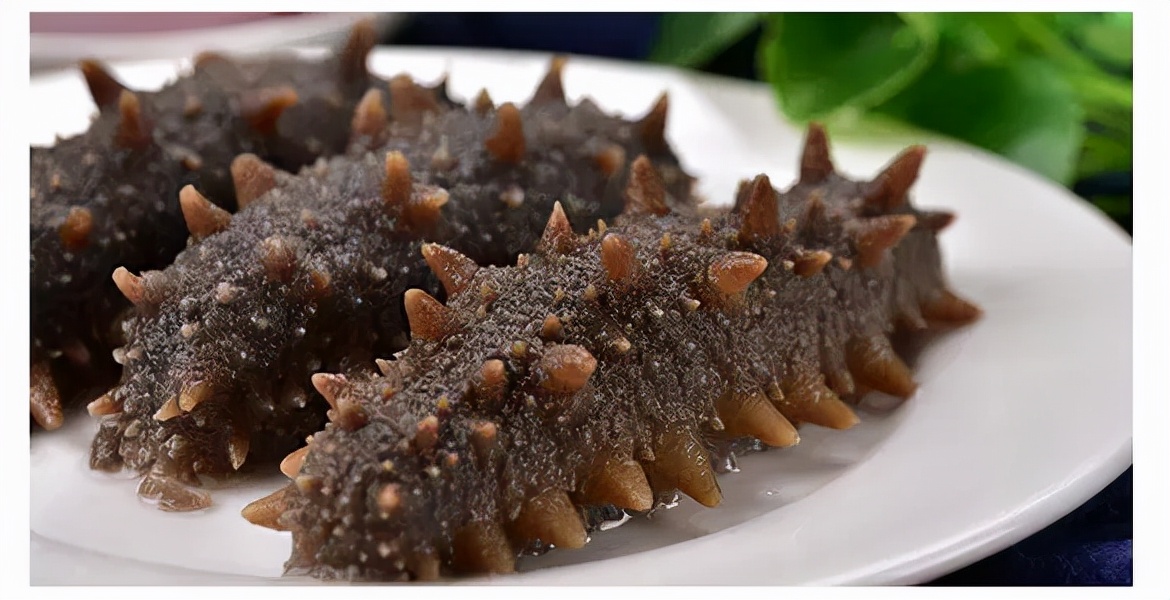 东海海鲜的特点有哪些,东海海鲜和南海海鲜的区别