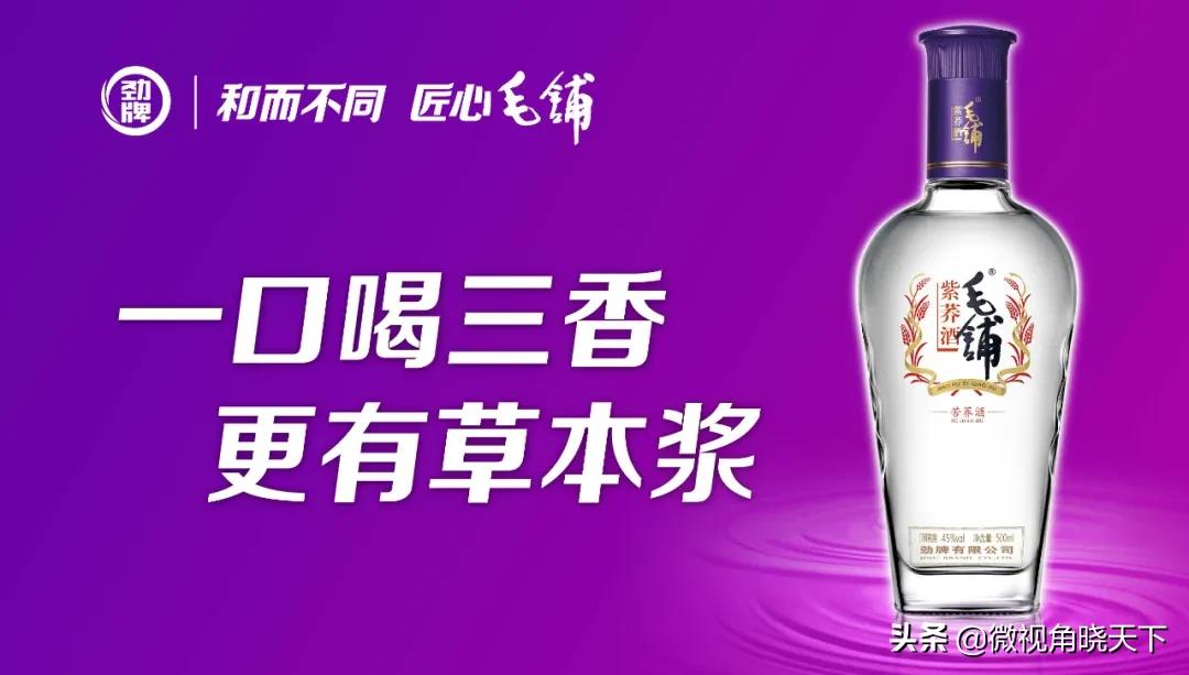 带你看看信阳的茶山美景,信阳浉河茶山直播