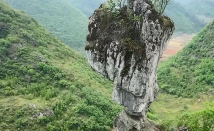 东川石将军自驾游,云南东川石将军罗汉松