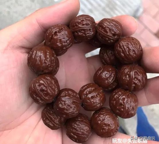 放了2年的凤眼，翻出来，虫子能组一个篮球队了