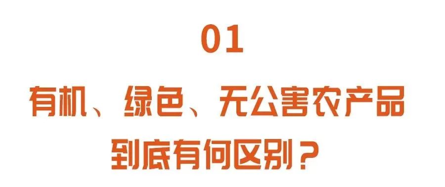 有机绿色无公害蔬菜,有机蔬菜无毒无害