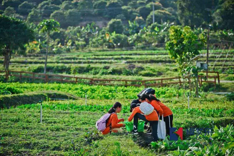 博实乐自然共和国营地精彩回顾|走进三大科技之美，成就未来英才