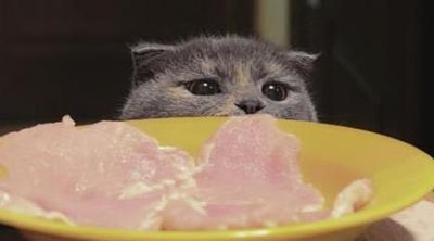 国产粮到底能不能选,国产粮靠谱吗