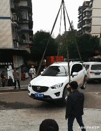 这只鹦鹉一直以为他是一只猴，所以每天都在重复做这个动作