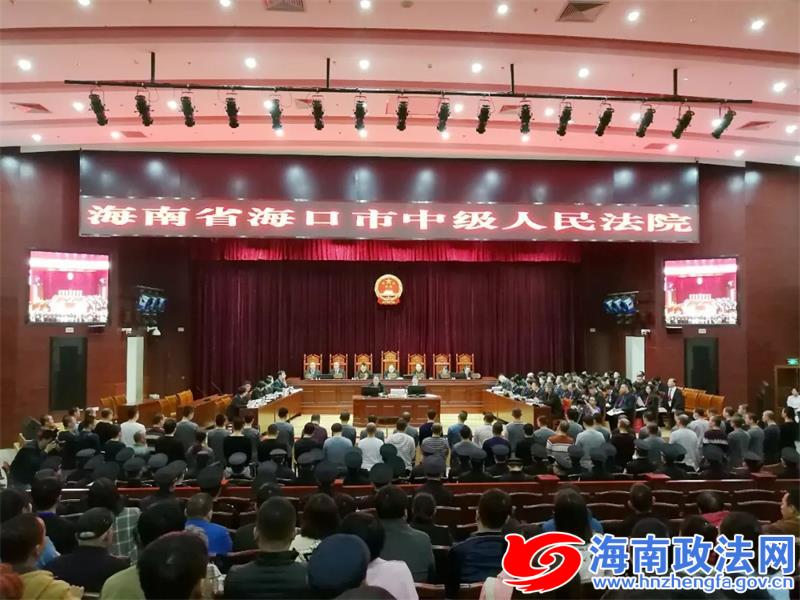 海南94人涉黑案,海南144人涉黑案名单