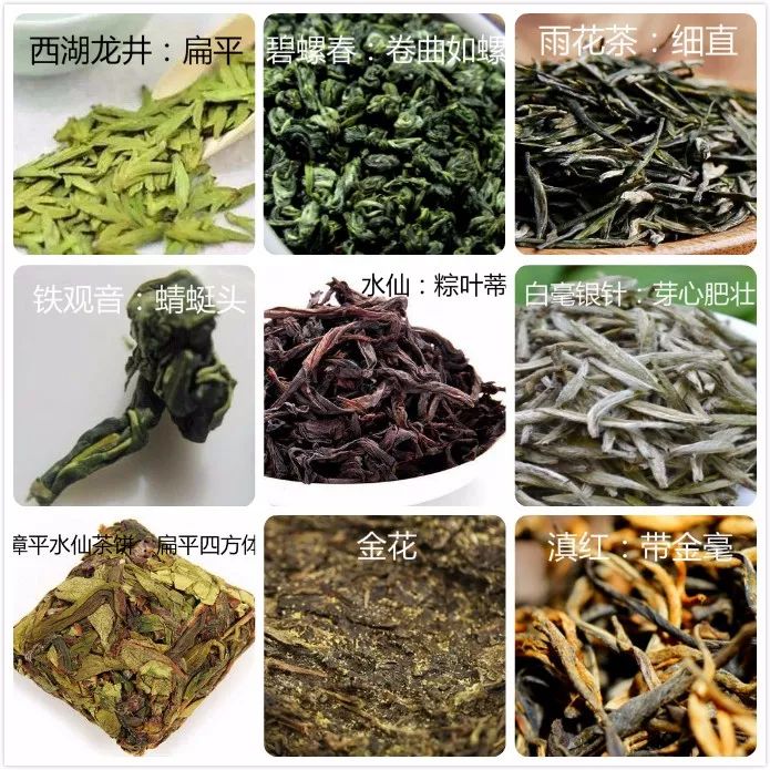 茶叶术语知识大全,100个茶叶