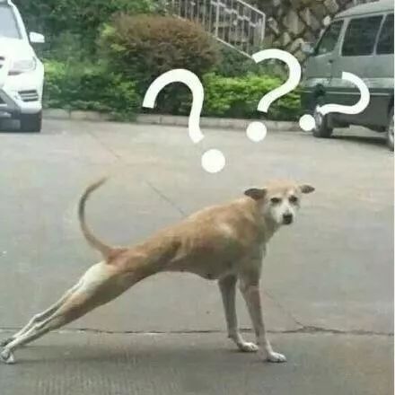 领导，请你尊重这个专业，法学是······