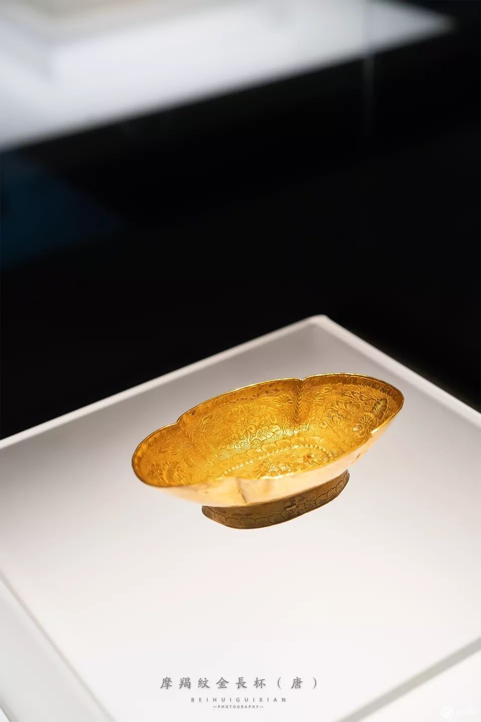 一起去博物馆发现古老的神器,陕西历史博物馆游览全攻略