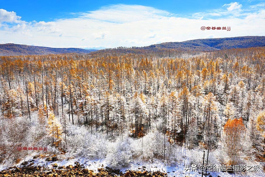 在莫尔道嘎,我遇见了最美的秋雪